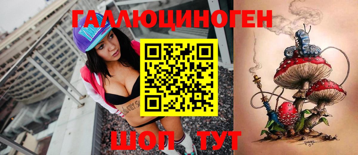 Псилоцибиновые грибы Psilocybine cubensis Чапаевск